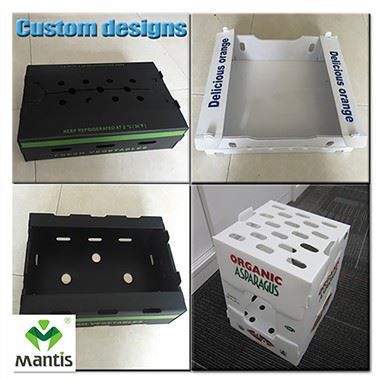 Corrugated plastik bwat legim