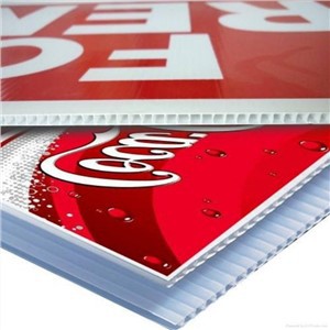 24x36 Blank Corrugated Plastik Siy