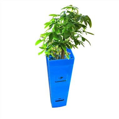 Pwotektè Plant Coroplast