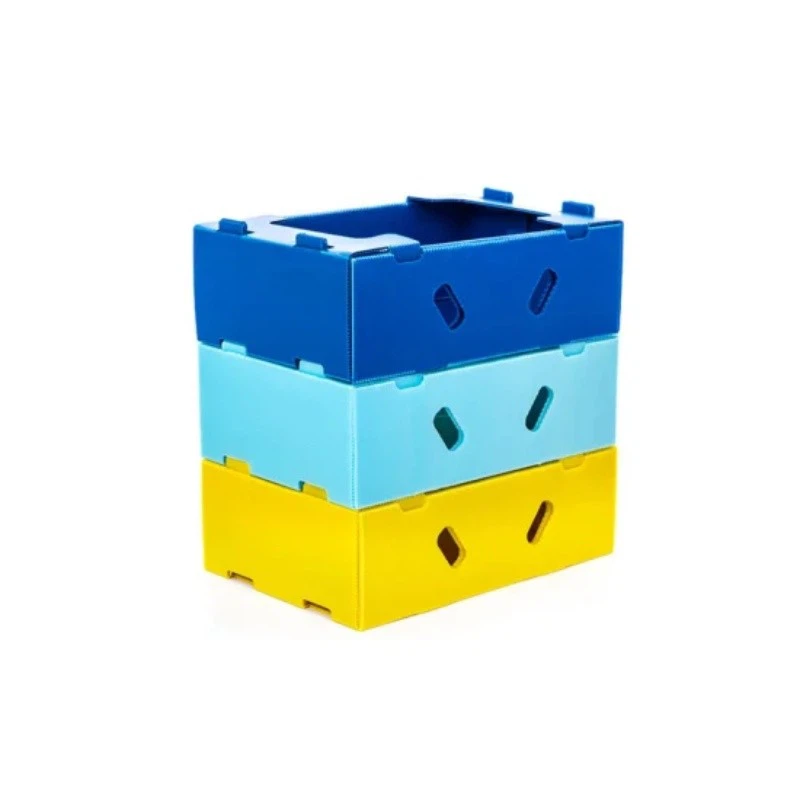 Anti-Static PP Plastic Tray suppliers
