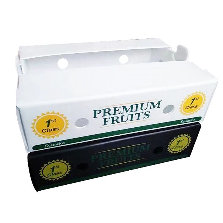 Custom Corrugated Plastic Storage Box best