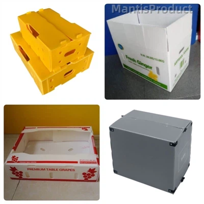 Mantis Corrugated plastic boxes: an innovative choice for modern packaging