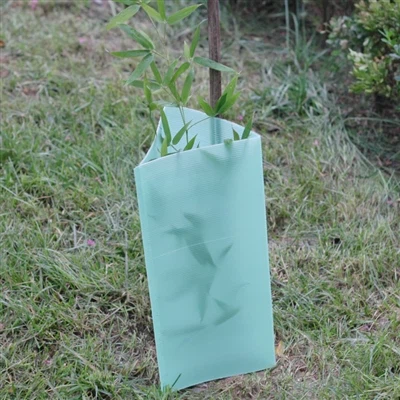 Pwoteje jèn pyebwa fason entelijan an: Poukisa gad pyebwa corrugated plastik ...