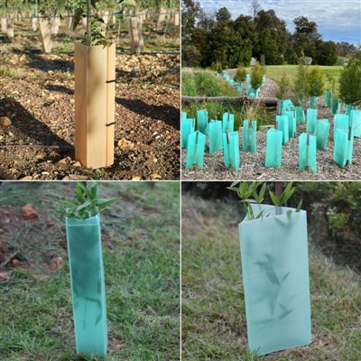 Eco-Zanmitay PP plastik Tree Guard