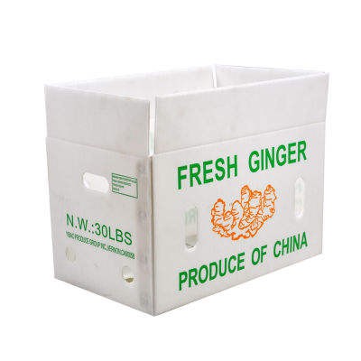 Pliable Fwi Fre Legim Coroplast Bwat